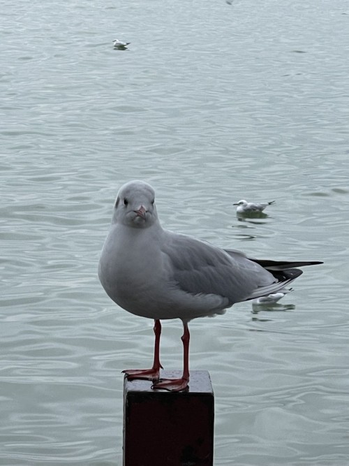 _20211130221429.jpg