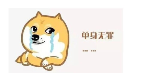 8302.jpg