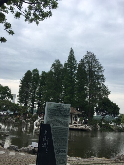 8605.jpg